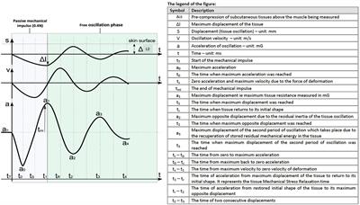 MyotonPro Is a Valid Device for Assessing Wrist Biomechanical Stiffness in Healthy Young Adults